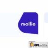 ARMember ? Mollie payment gateway Addon v3.1