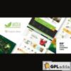 Akola v1.0.8 ? Organic & Food Store WordPress Theme