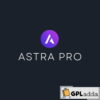 Astra Pro v4.8.14 – WordPress Theme Addon – Plugin