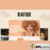 Beautique v1.0.0 - WordPress Theme