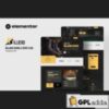 Billierd -  Billiard School & Sport Club Elementor Template Kit