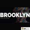 Brooklyn v4.9.7.5 - Creative Multipurpose Responsive Theme