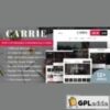 Carrie v2.0.1 ? Personal & Magazine WordPress Theme