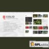 Colio v2.3.4 ? Responsive Portfolio WordPress Plugin