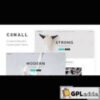 Conall v1.8 ? Clean Multipurpose Theme
