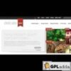 Elegant Themes DelicateNews v4.6.13