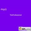 Elegant Themes TheProfessional v4.0.13