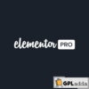 Elementor Pro v3.28.1 - Wordpress Page Builder & 5000+ Template Kits