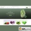 Frutta Verde v1.0.3 ? Responsive WooCommerce Shop Theme