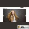 Graph Paper Press Albedo WordPress Theme v1.3.6