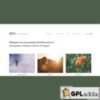 Graph Paper Press Qua WordPress Theme v1.0.4