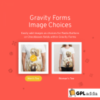 Gravity Forms Image Choices Add-On v1.4.9
