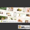 GreenPath v1.0.0 ? Organic Food Store WordPress Theme