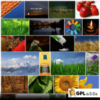 Justified Image Grid v4.5 - Premium WordPress Gallery