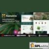 Kanabis v1.0.0 ? Medical Marijuana & Cannabis WordPress Theme