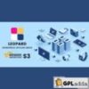 Leopard v2.0.33 ? WordPress Offload Media