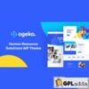 Ogeko v1.0.2 ? Human Resource Solutions WordPress Theme