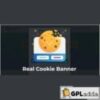 Real Cookie Banner v4.0.0