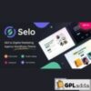 Selo v1.16 ? SEO & Digital Marketing Agency WordPress Theme