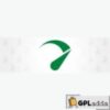 Seraphinite Accelerator v2.22.3