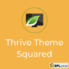 Squared by Thrive Themes v2.11.1 - WordPress theme