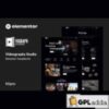 Vigraph - Videography Studio Elementor Template Kit