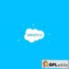 WP ERP Salesforce Contacts Sync v1.1.1