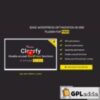 Webcraftic Clearfy Business v2.0.4 - Wordpress Optimization Plugin