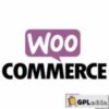WooCommerce NAB DP Tyson Armstrong v2.5.18