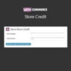 Store Credit WooCommerce Extension v4.5.6
