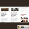 WooThemes Daily Edition Premium Theme v1.6.9