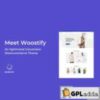 Woostify Pro v1.8.0 - WordPress Plugin