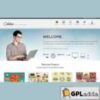 YITH Celestino Premium WordPress Themes v1.7.7
