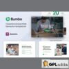 Bumbo - Business & Startup Portfolio Elementor Template Kit