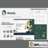 Maidy - Cleaning Service Elementor Template Kit