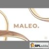 Maleo - Minimal Home Decor & Furniture  Elementor Template Kit