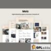 Moiz - Digital Marketing Agency Elementor Template Kit