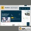 Riserank - Digital Marketing Agency Elementor Template Kit