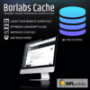 Borlabs Cache 1.6.3 - WordPress Caching Plugin